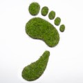 Calculate Your Carbon Footprint