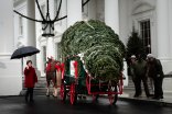 Signs of the Season: Christmas Trees Arrive in D.C.