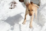 iSee: We Got Snow Pix, Part 5