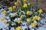 Your Snow Pics