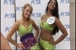 Lettuce Bikinis on Capitol Hill