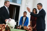 Entrée? No Way! Turkeys Get Presidential Pardon