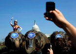 Pachyderms on Parade!