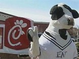 Police Seek Chick-fil-A Cow Tipper