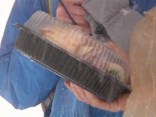 Sandwich Girl, Part 2