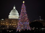 MoshPix: Capitol Christmas Tree Lighting