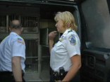 Police Bust Suspected Dogfighting Operation