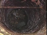 Dog Safe After Frightening Fall Down a Well