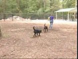 New Dog Park in Bethesda