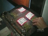Oakland's Pot Tax Inspiring Other Cities