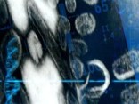 W.H.O. Raises Swine Flu Pandemic Alert to Phase 5