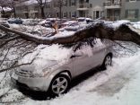 Your Snow Pictures