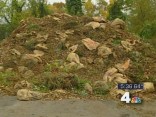 Environmentalist Want to Ban Some Leaf Blowers