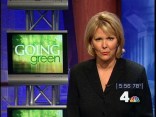 Green Rooftop Provides Escape From Busy World