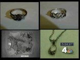 Runaway Teen's Death in Silver Spring Investigated