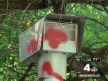 Speed Cams Vandalized