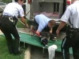Park Police Rescue Dog