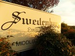 Wine Wednesday: Swedenburg Estate Vineyard