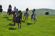 vagoldcup052