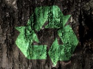 Waste Not: DC 8th Least Wasteful City in U.S.