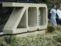 Elderly Sloth Bear Dies at National Zoo