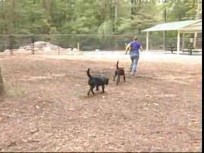 New Dog Park in Bethesda
