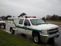 Turkey Trouble in Loudoun County