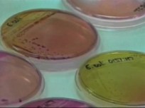 Sneaky MRSA Returns to Montgomery County