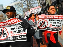 ACORN Suspends Key Services Amid Probe