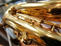 Silver Spring Music Venue Has Sprung
