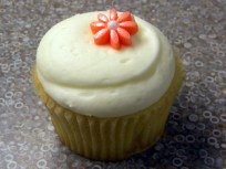 Cupcakes Forever! It's All Up to You, G'town Cupcake