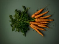 Holiday Vegetarian Feast