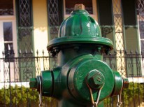 Fire Brass Likes Parking in Front of Hydrant