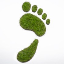 Calculate Your Carbon Footprint