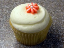 Cupcakes Forever! It's All Up to You, G'town Cupcake