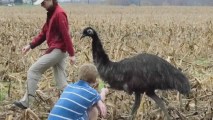 Runaway Emu Finds Home On Delaware Ranch