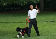 Everyone Loves a White House Picnic
