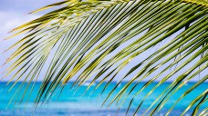 7 Turks & Caicos Adventures