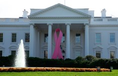White House Gets Pink Ribboned