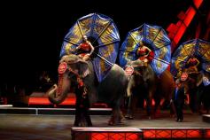 3/21: Elephants Ahead