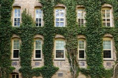 Ivies Needn't Date Lesser-Schooled Nobodies -- Ever