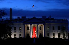 AIDS/HIV Deaths Decline in D.C.
