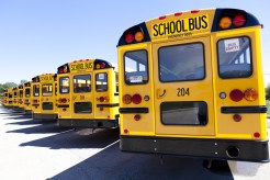 Va. Mom Sentenced for Mooning School Bus