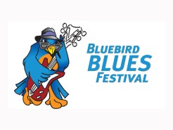 Get Down at the Bluebird Blues Festival