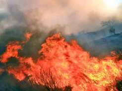 MD State Officials Setting Fires on Eastern Shore