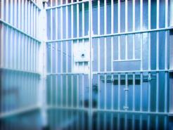 MD Lawmakers Want Entrance Fee for Jail