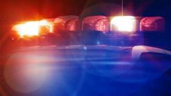 Man Accused of Climbing Tree to Peep Into Manassas Home