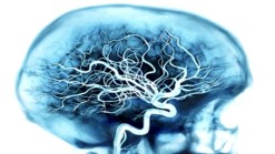 Georgetown Participating in Alzheimer's Study