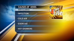 Why Winter Hives?