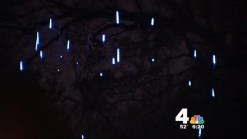 Learn to Save Money, Energy at Zoolights